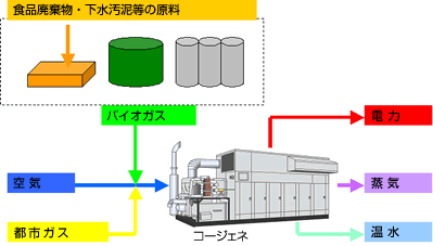 バイオガス利用（嫌気性発酵ガスまたは消化ガスの活用）