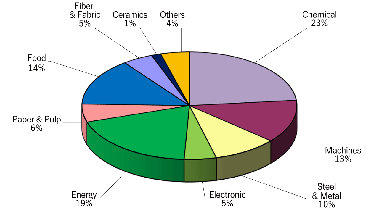Share of Capacity by Industrial Sectors (as the end of March 2025)